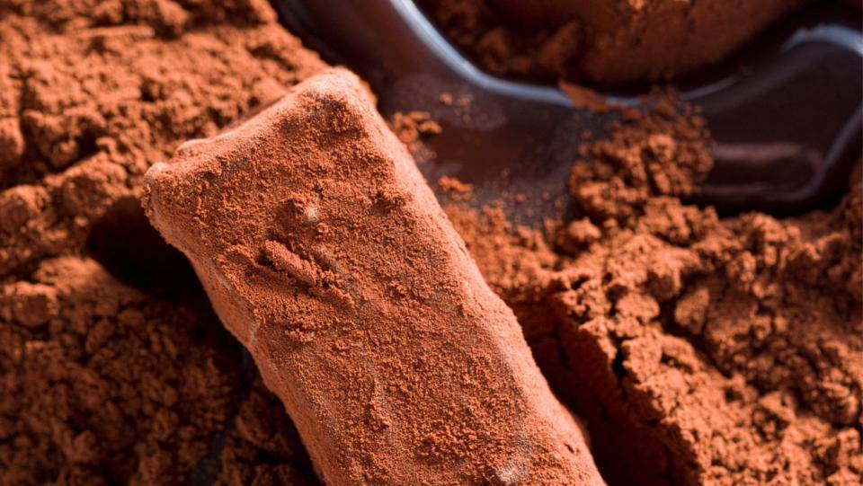 Cacao Barry Cacao Powder collection